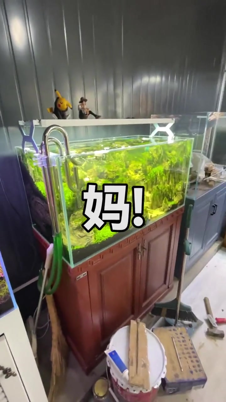 其实贴背景纸还是很简单的水族鱼缸