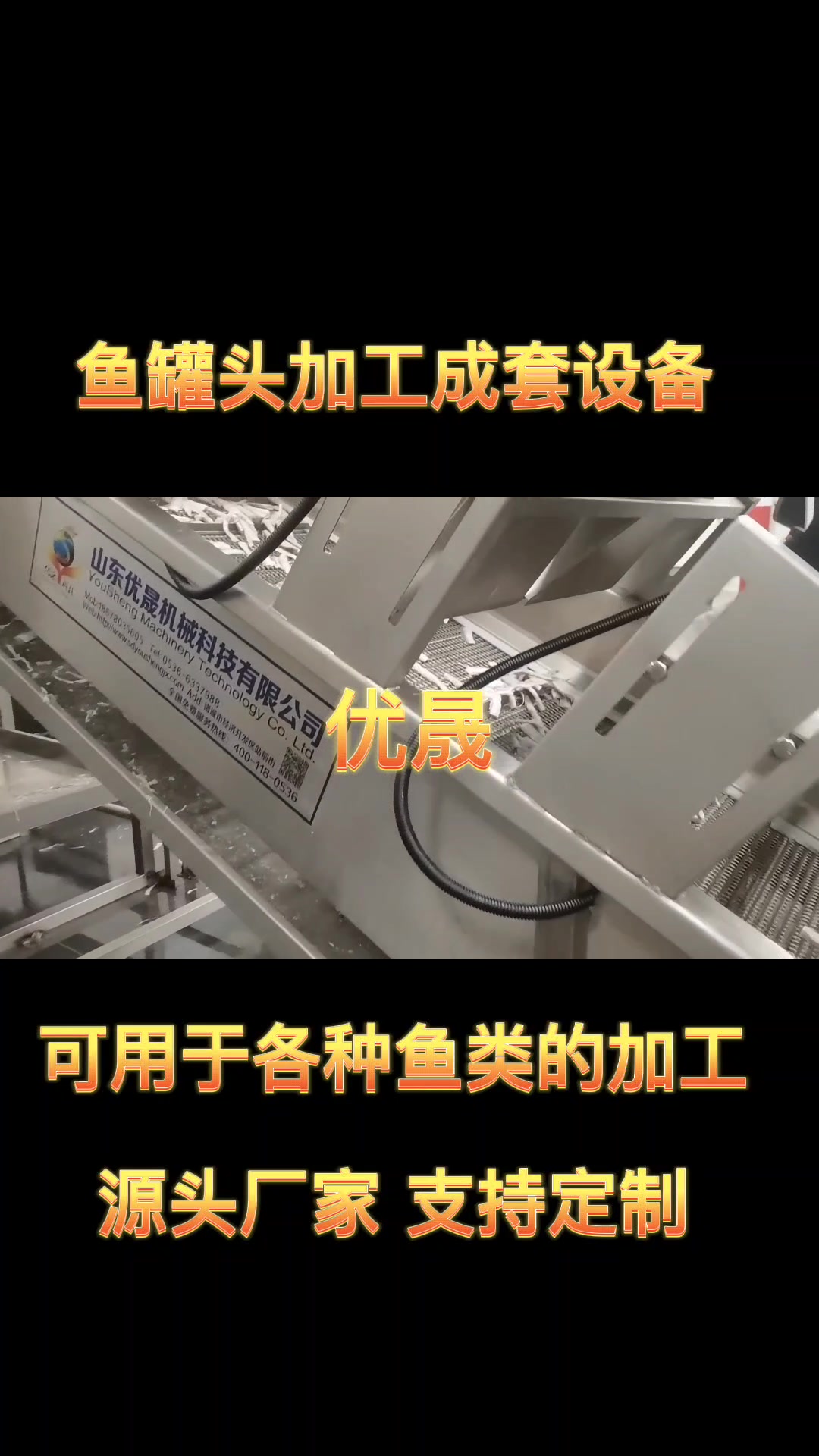 炸鱼油炸机,鱼罐头加工流水线,带鱼油炸线,罐头鱼加工成套设备