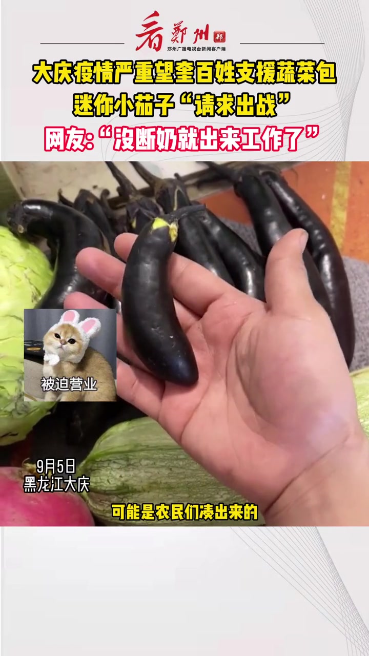9月5日,黑龙江大庆,大庆疫情严重,望奎百姓支援的蔬菜包惊现迷你茄子。(素材:)疫情下的生