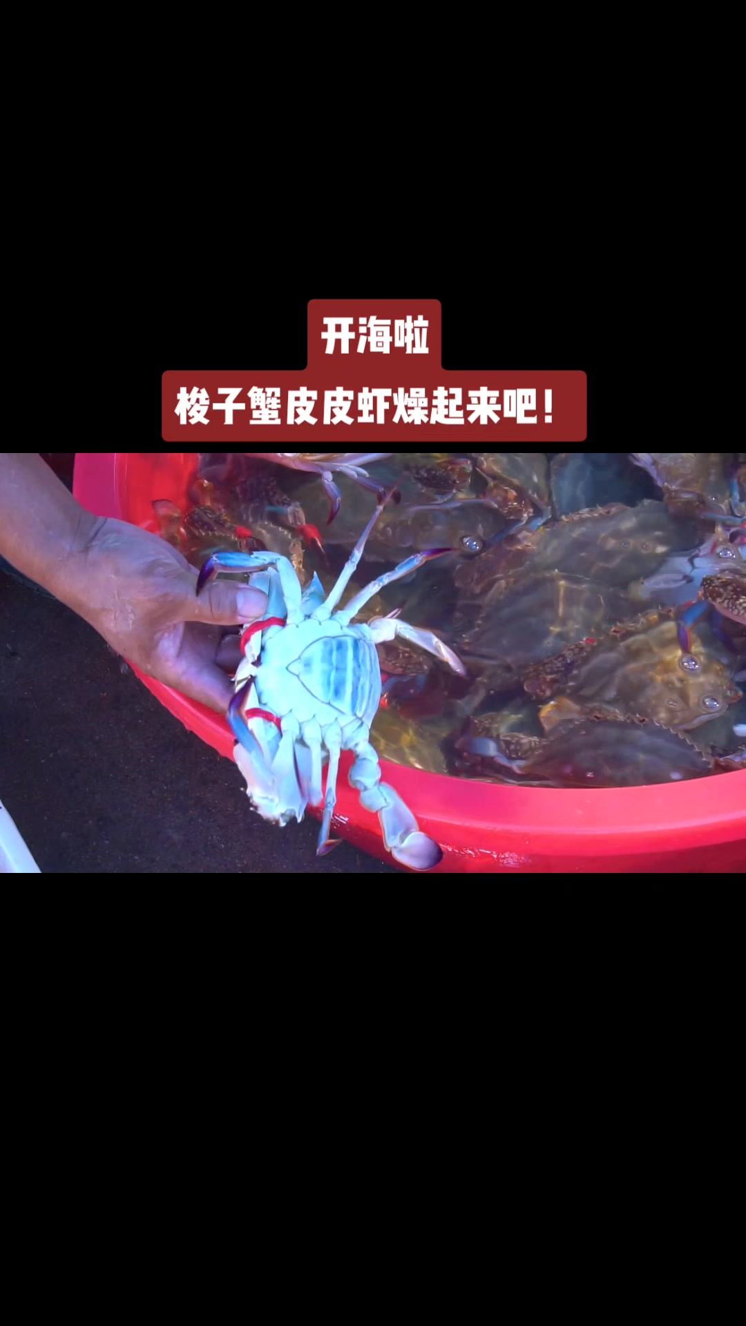 梭子蟹皮皮虾,燥起来