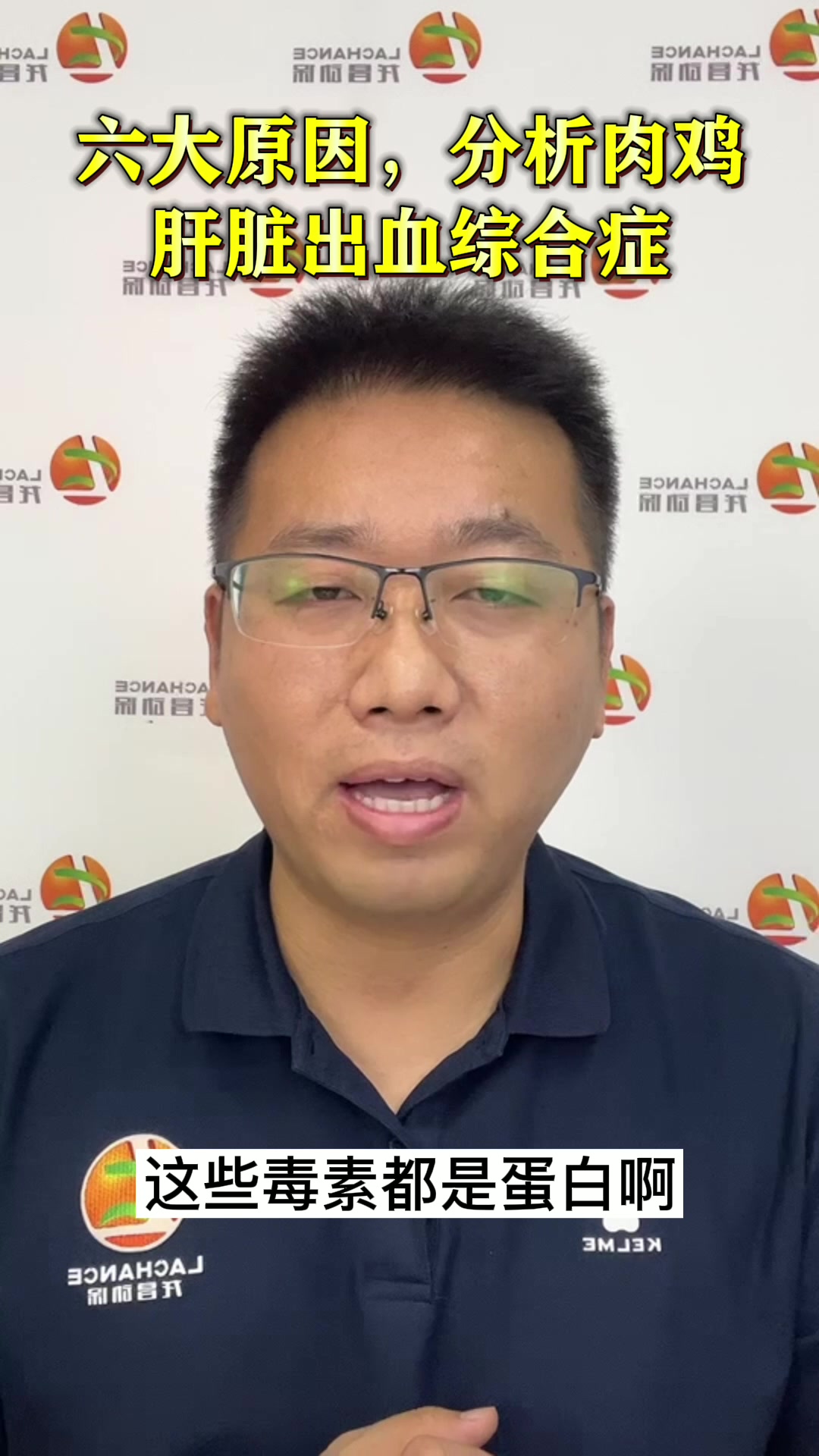肉鸡养殖肝脏出血综合症的这六大原因?你不一定都知道