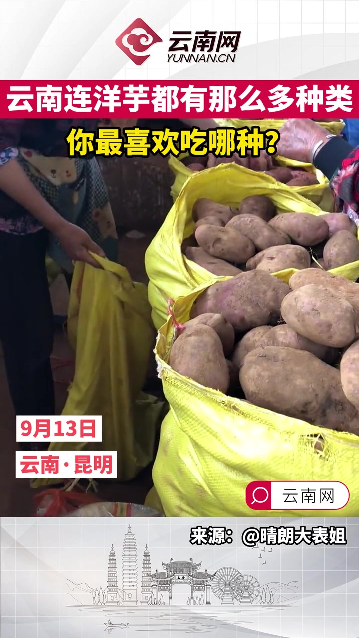 这就很云南了 你最喜欢吃哪个品种的洋芋?洋芋 云南好物推荐 来源: