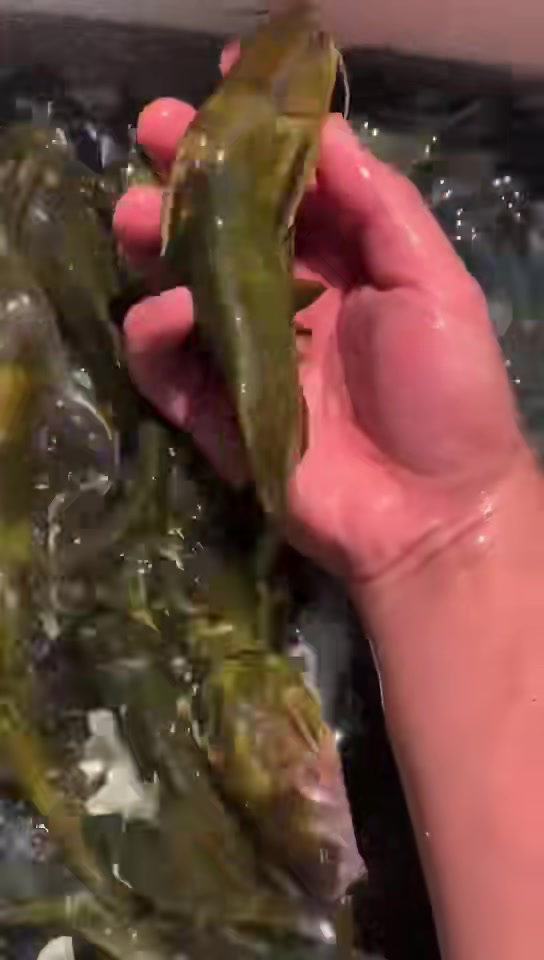 野生黄鸭叫,天赐的纹理