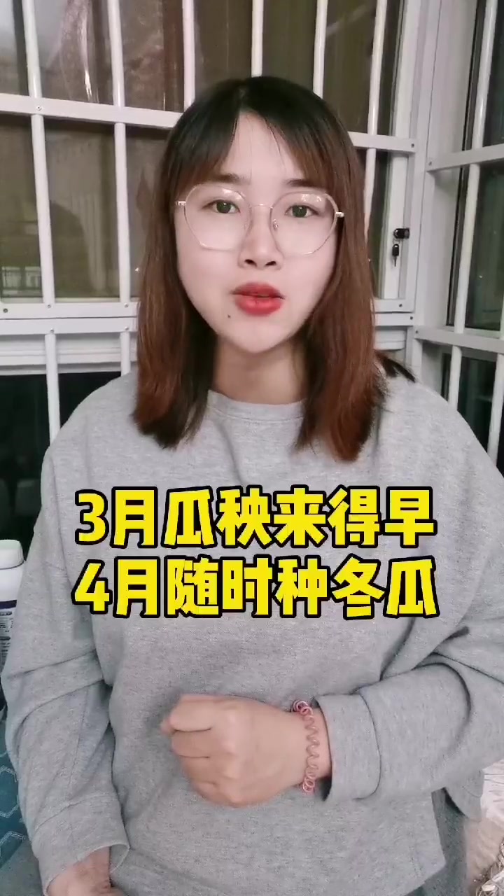 蔬菜种植 时间表