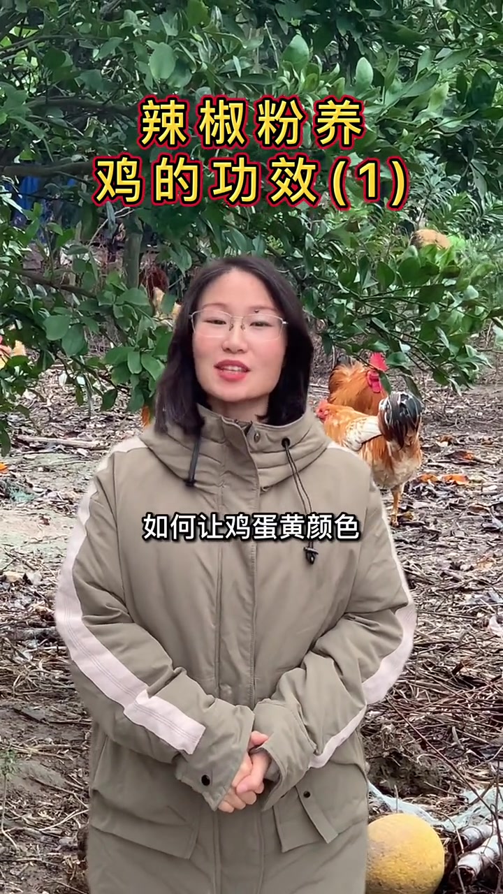 老百姓才不管你是什么鸡蛋,蛋黄不红不紧就不是土鸡蛋