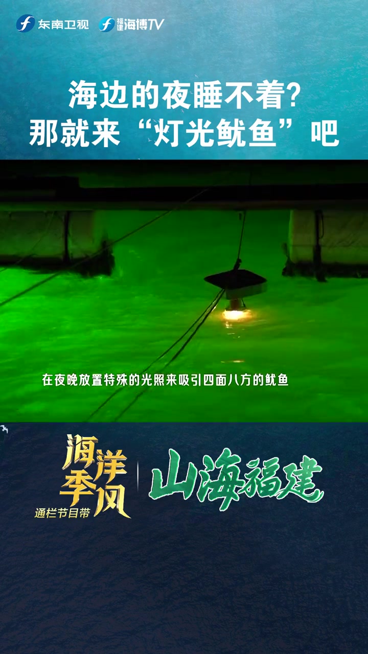 「海边的夜睡不着?那就来“灯光鱿鱼”吧」原来小鱿鱼是这样抓捕来的!东南卫视 黄金十八点海洋