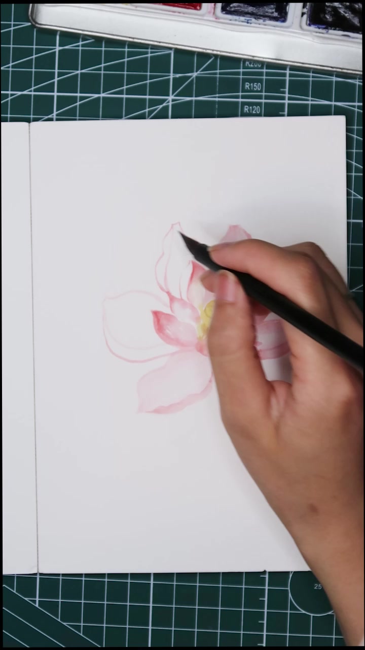 水彩绘画||高洁的莲花