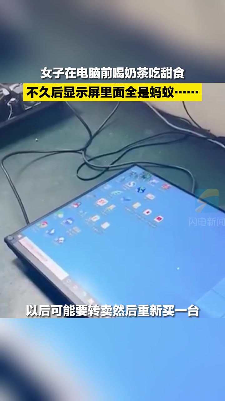 女子在电脑前喝奶茶吃甜食,不久后显示屏里全是蚂蚁