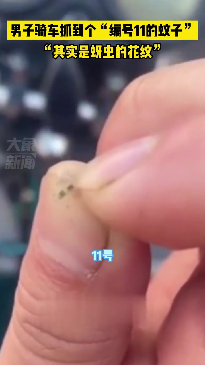 9月14日,黑龙江绥化,男子骑车抓到个“编号11的蚊子”,“其实是蚜虫的花纹”