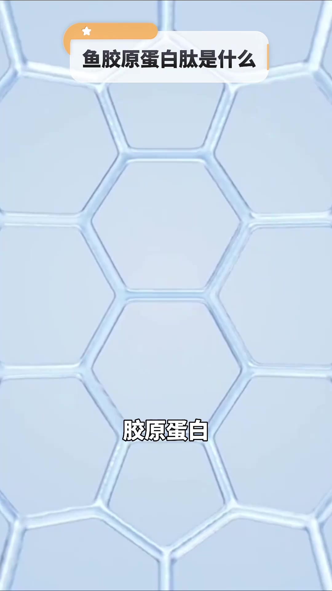 鱼胶原蛋白肽是什么