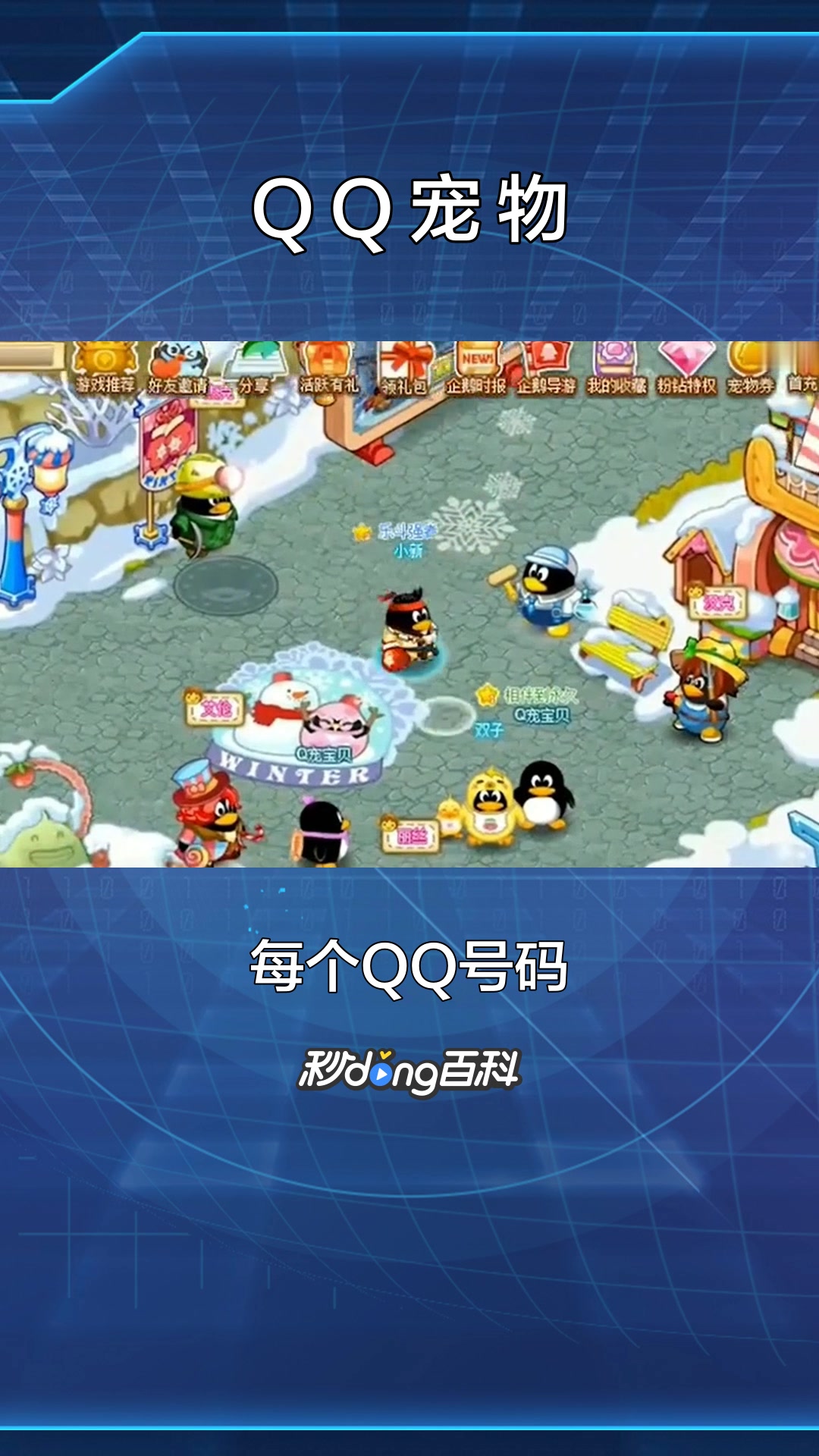 一分钟了解游戏《QQ宠物》