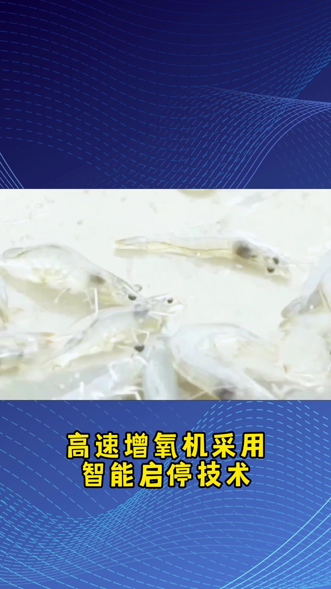 水产养殖鱼塘增氧机