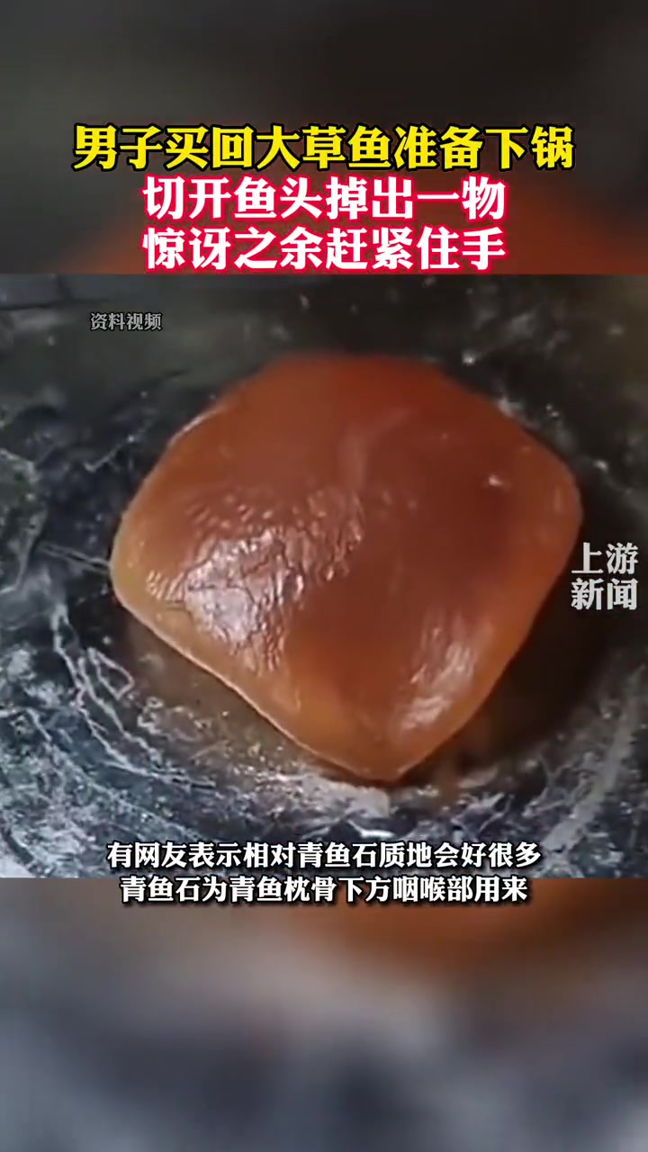 据长沙广电,9月15日,河南洛阳 男子切开鱼头掉出一物赶紧住手 鱼惊石 惊不惊喜意不意外