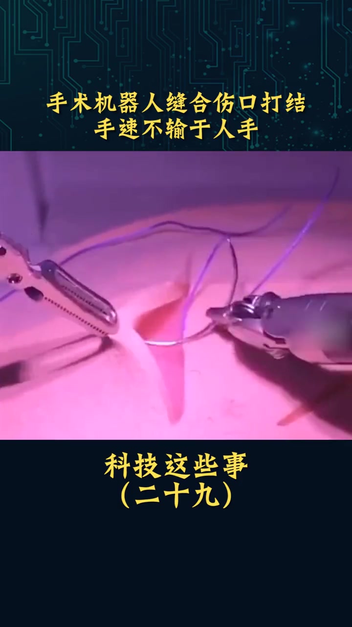 这条鲨鱼有个性吧?不吃鱼,吃树枝!哈哈