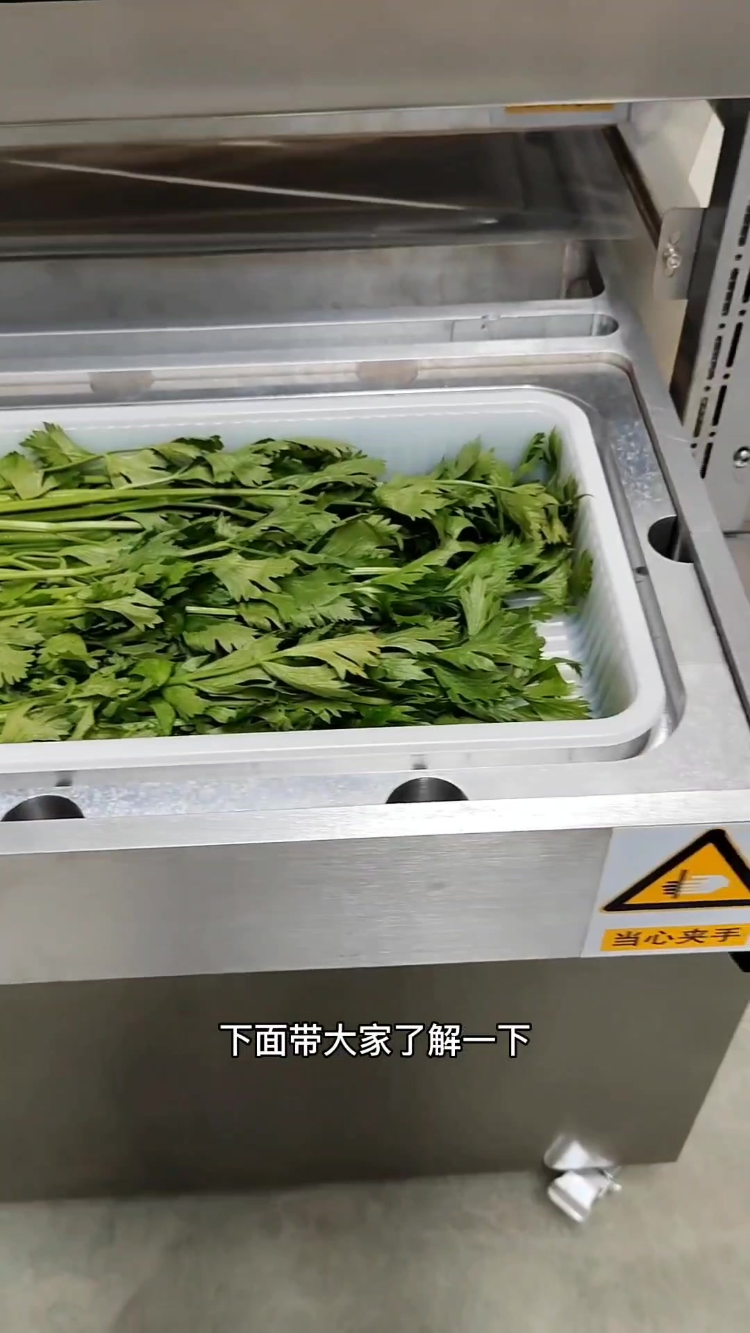 蔬菜气调包装机保鲜效果