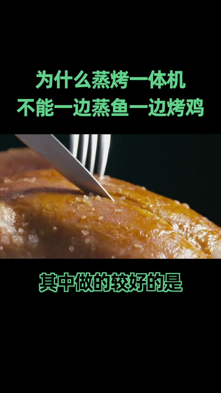 蒸烤一体机,可以一边蒸鱼,一边烤鸡吗?德系高颜值食力派