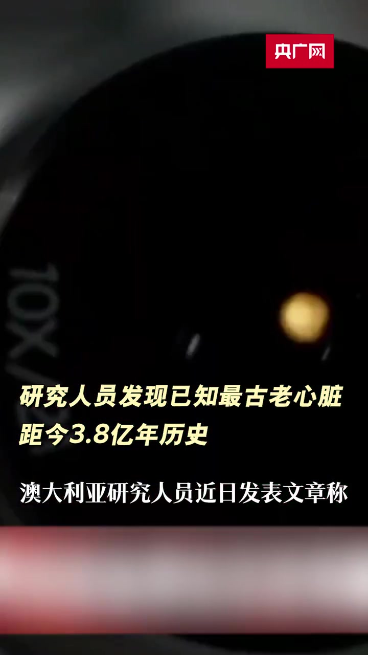 研究人员发现已知最古老心脏 距今3.8亿年历史 化石