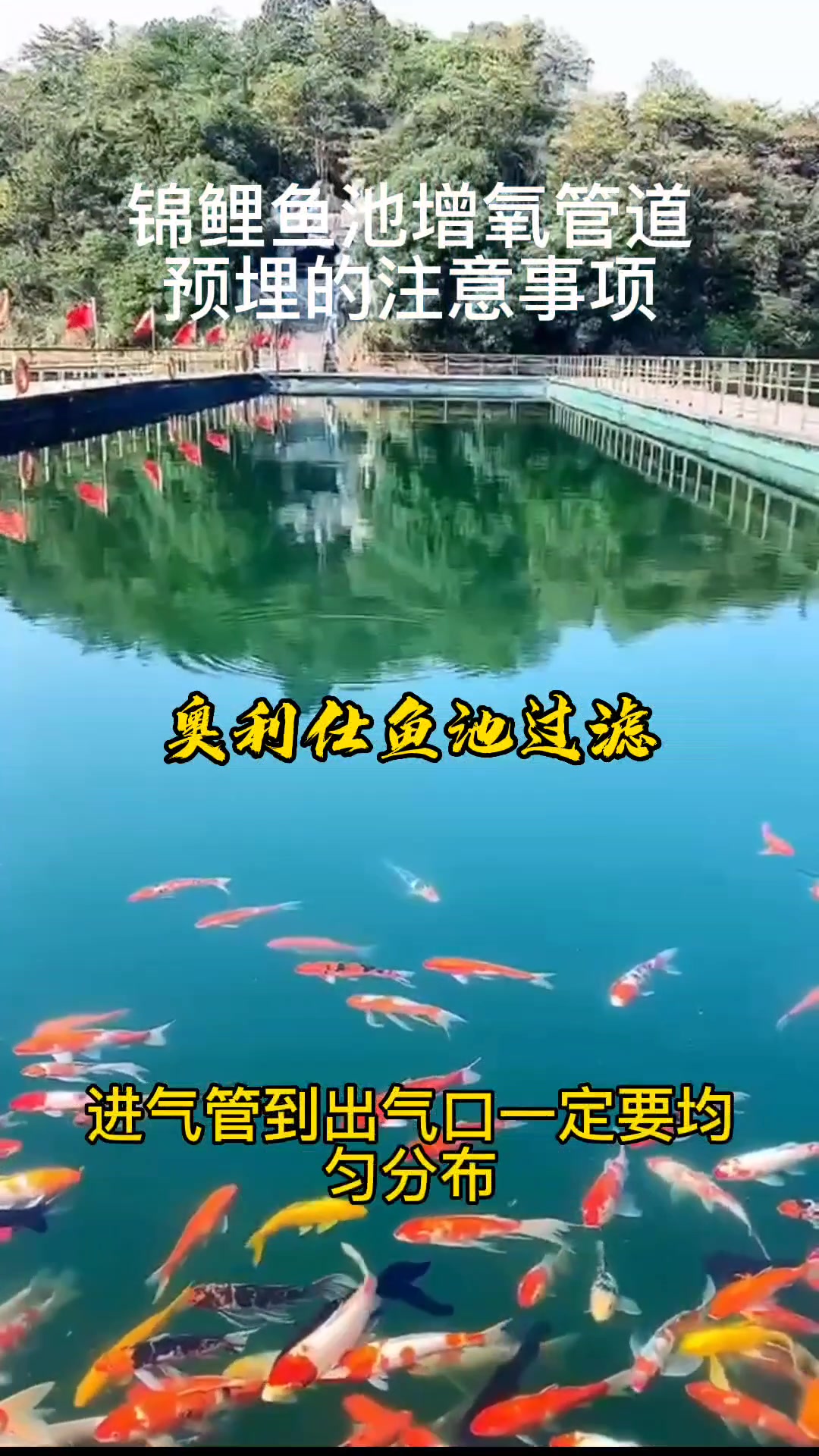 锦鲤鱼池增氧管道预埋的注意事项