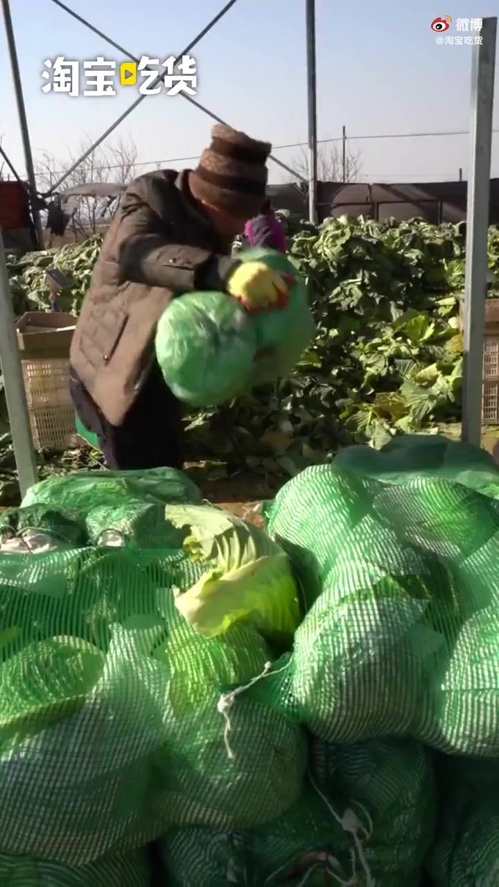 「家庭自制泡菜别急着吃」韩国菜价飙涨中国泡菜成救兵 泡菜起源于中国,腌泡菜最早可以追溯到3