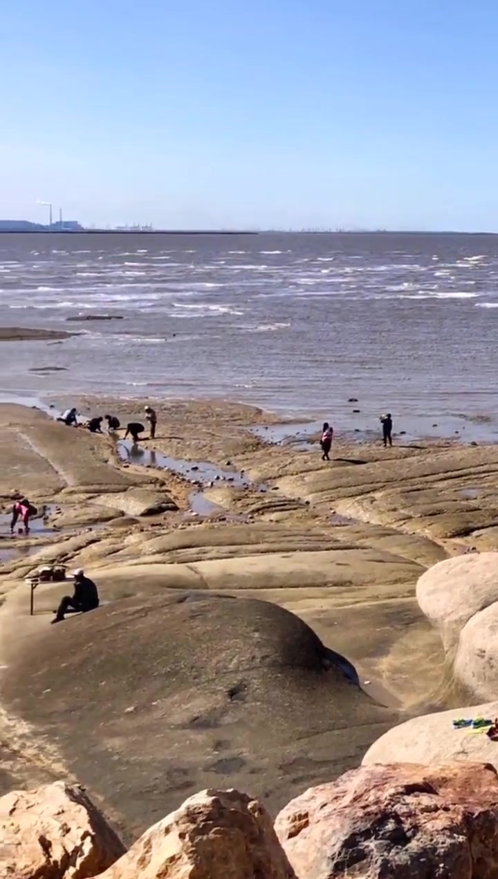 鲅鱼圈旅游必去景点