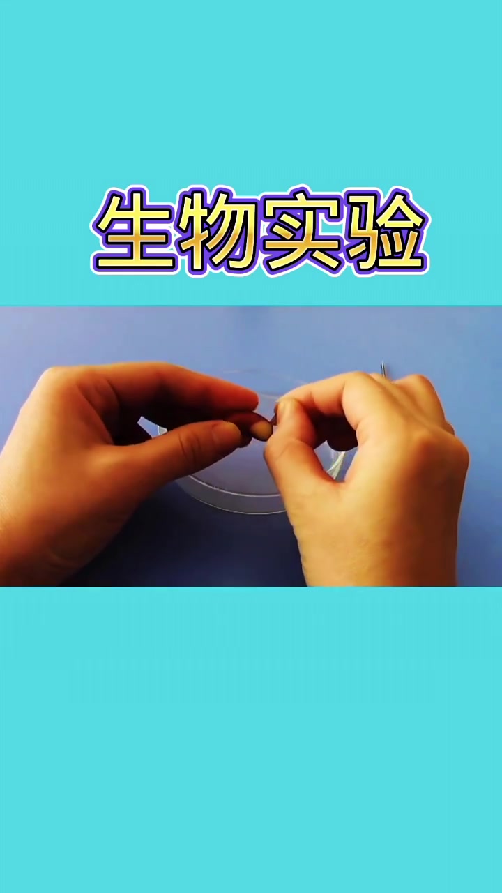 初中生物耿老师 教育