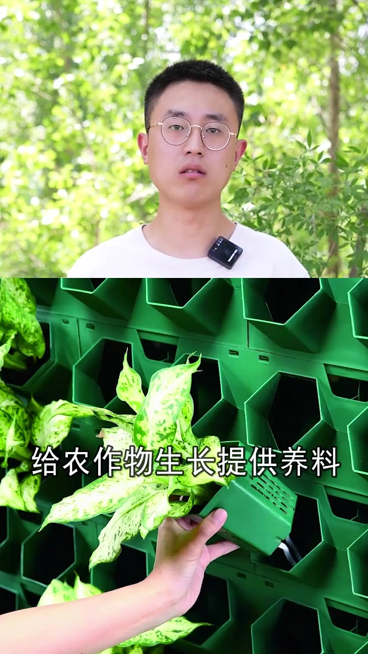 实在想不到,墙上也能种菜!如此新型种植你见过么?三农
