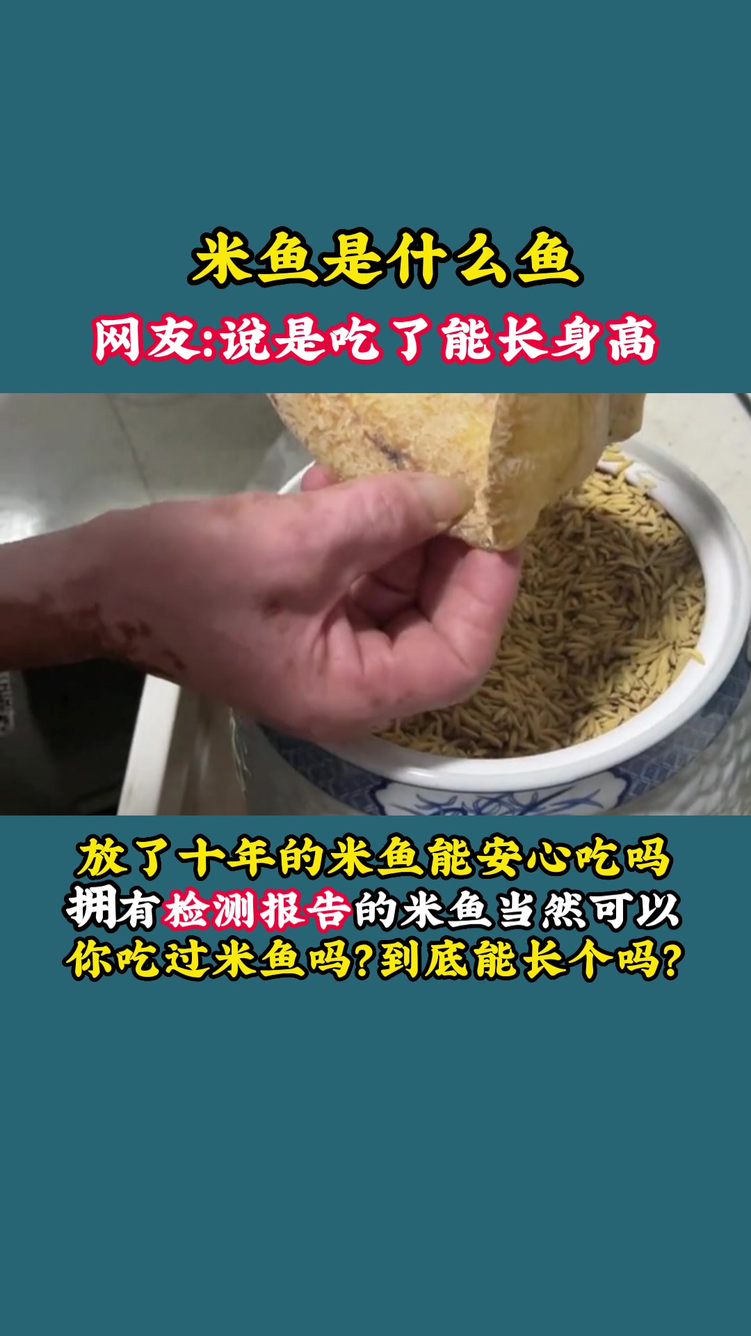 米鱼是什么鱼,能长个嘛