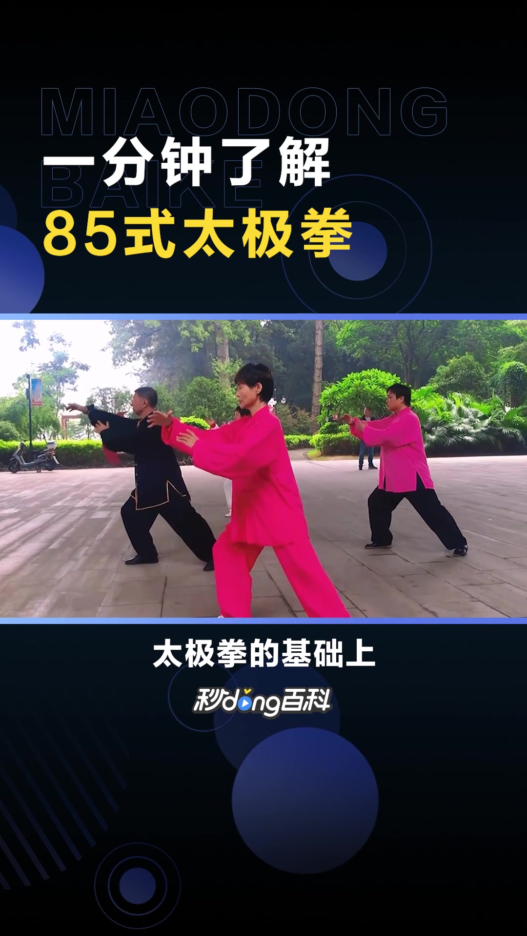 85式太极拳:太极拳的一个流派