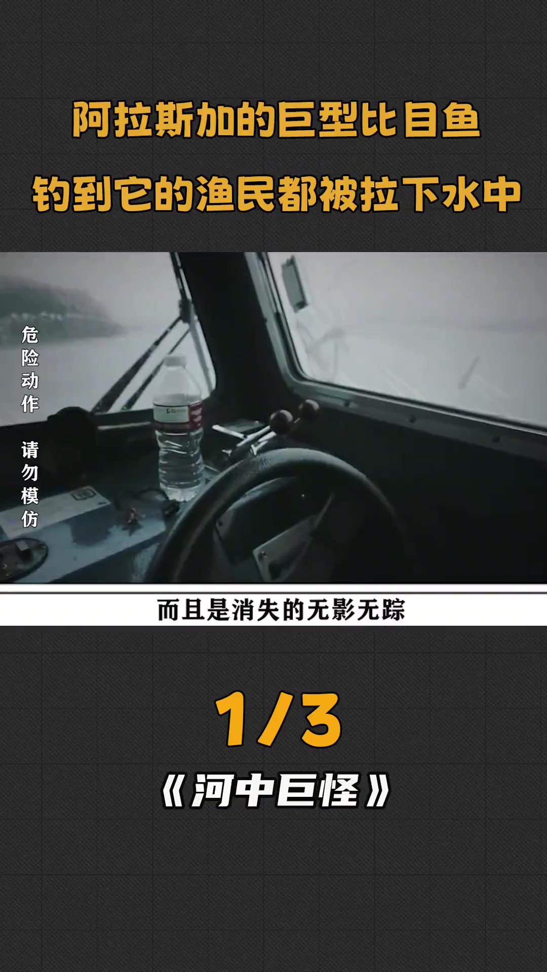 阿拉斯加巨型比目鱼,体重超过了500斤,无数渔民被它拉下水丧生