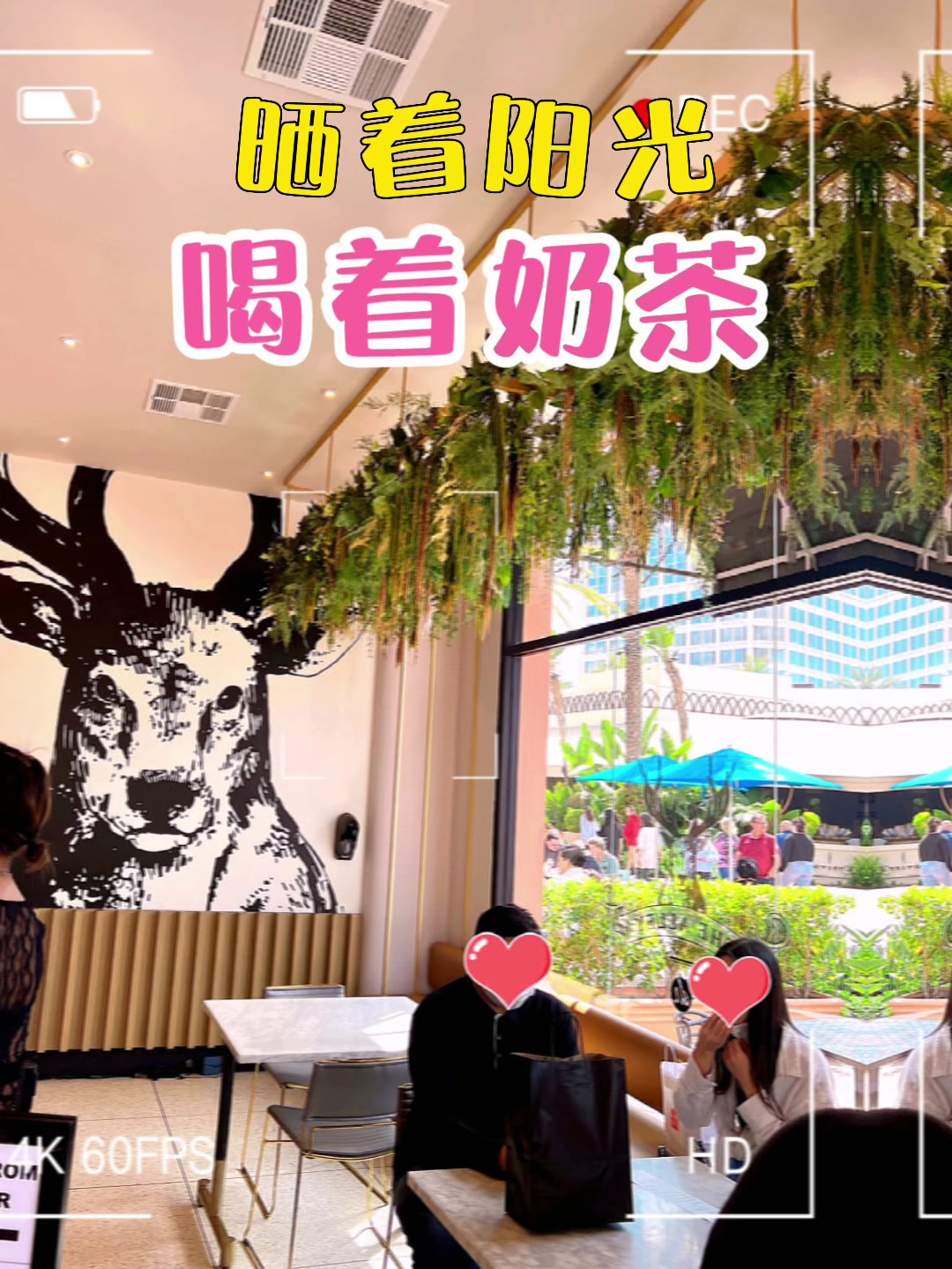 美福嘉儿赴美生子:打卡网红奶茶店