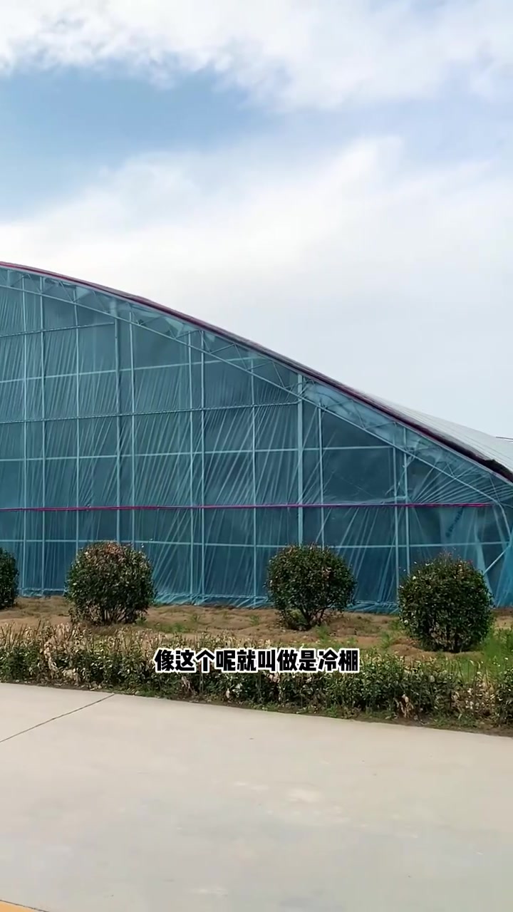 这就是我们常见的两种棚型 蔬菜大棚 冬暖式蔬菜大棚