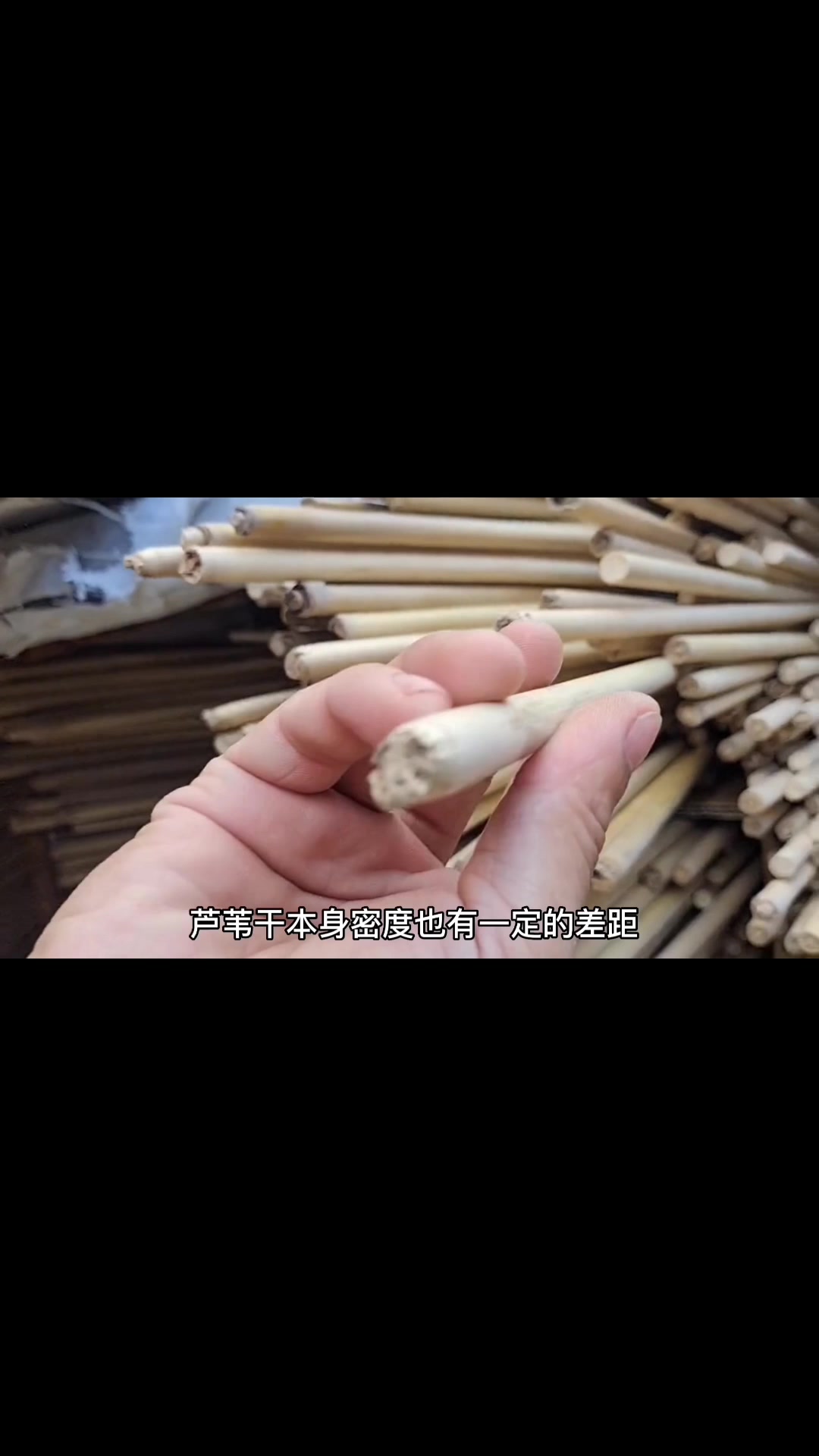 各种鱼漂了解一下