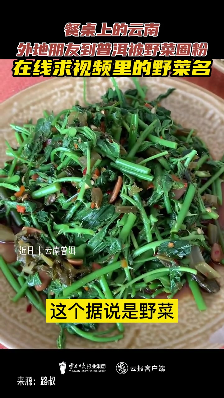 餐桌上的云南,外地朋友到普洱被野菜圈粉。在线求视频里的野菜名