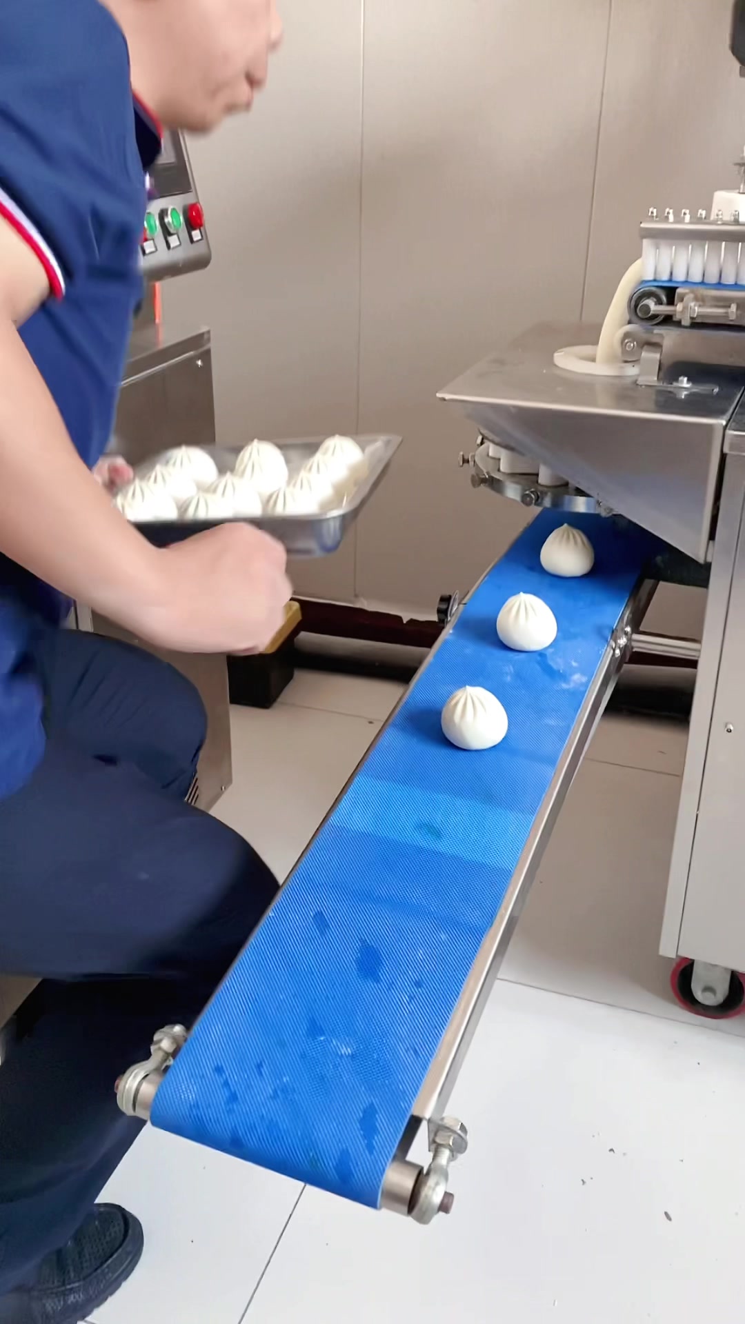 一包一蛋大鲜包,刘二用包子机挑战不可能