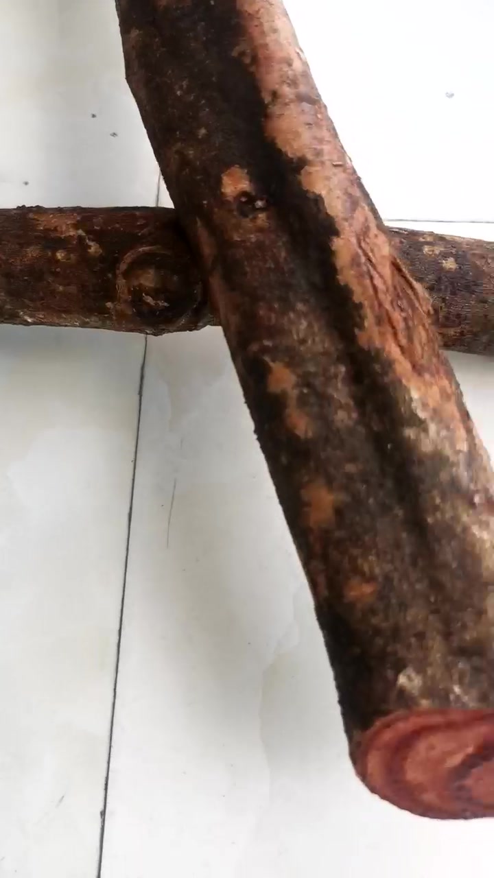 新鲜的鸡血藤,好大!纯野生