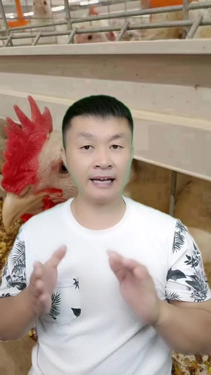 鸡场消毒很关键,这样消毒更彻底!
