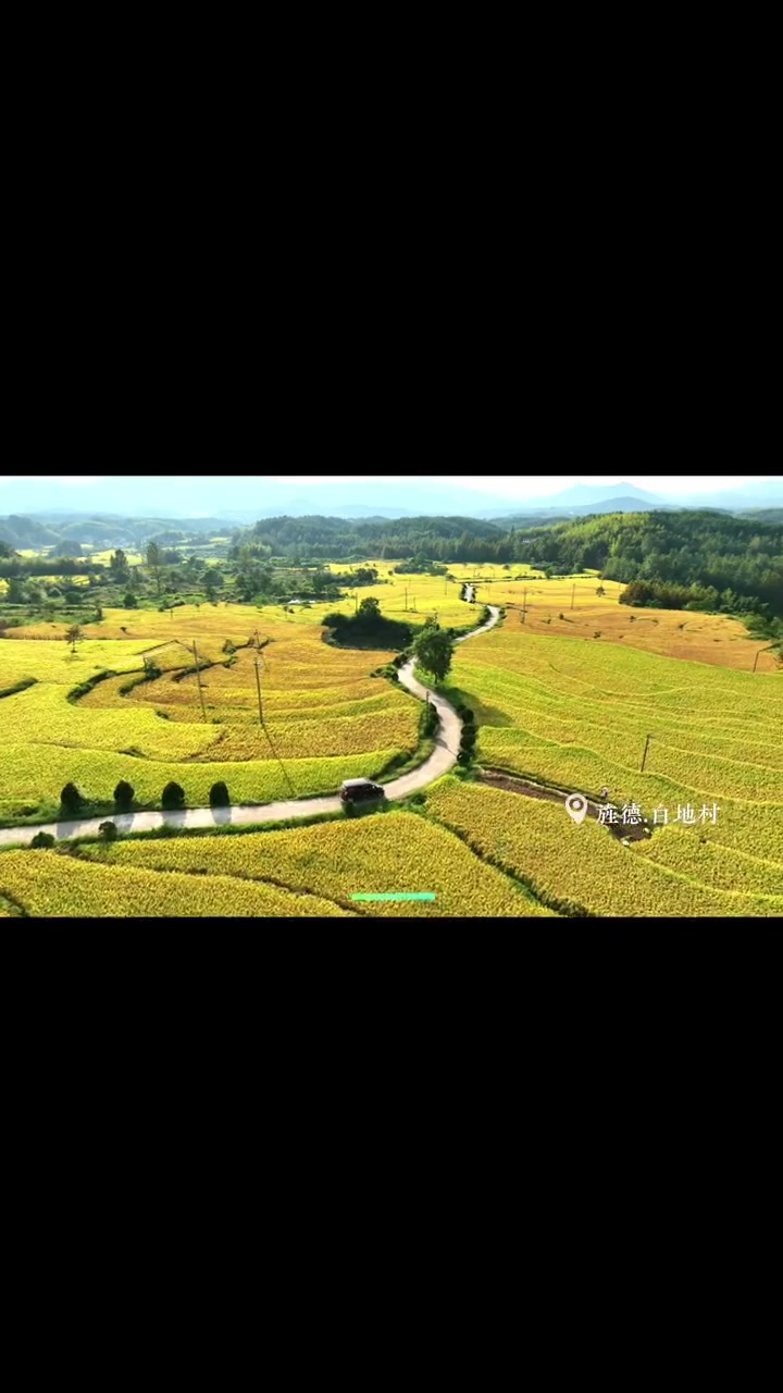 生活不止诗和远方,还有眼下的秋忙。今天是秋分,也是丰收节,丰收画卷在江淮大地缓缓铺展……