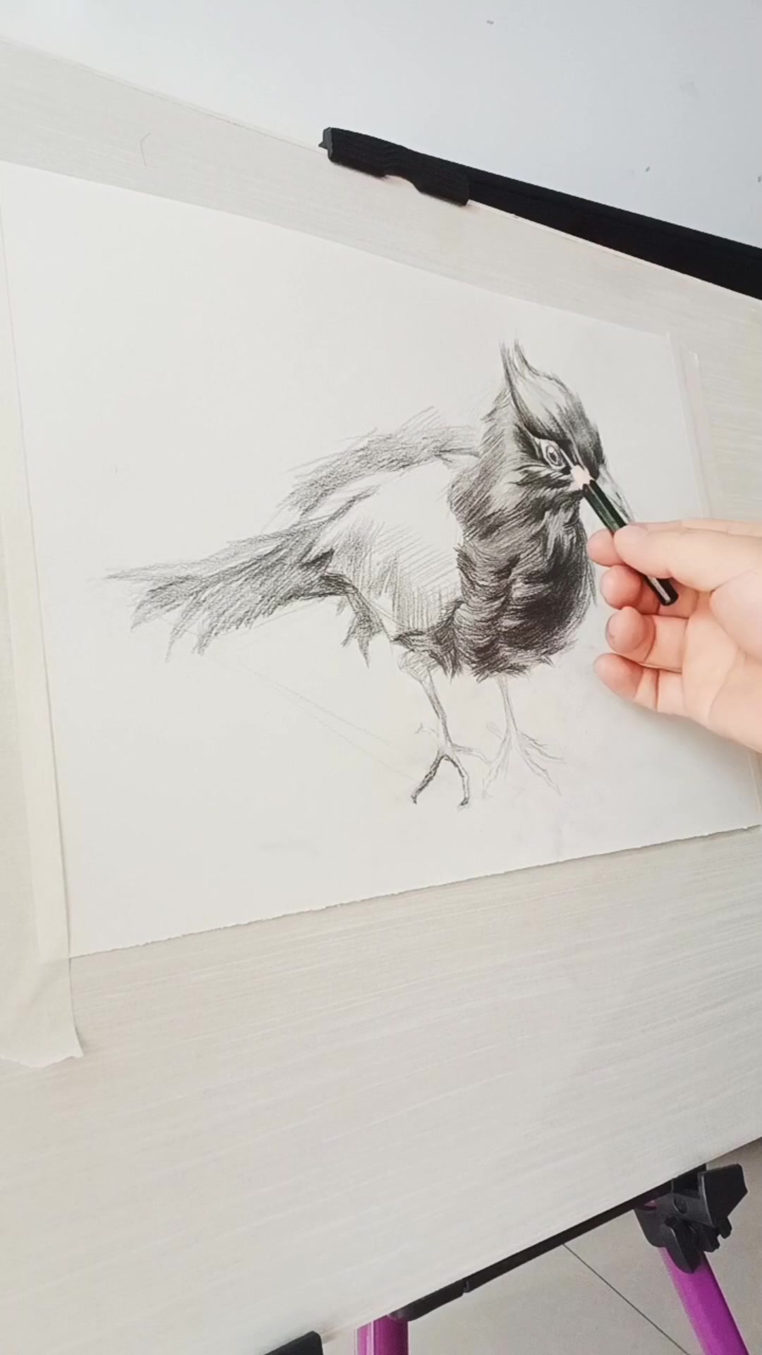 用素描画一只小鸟
