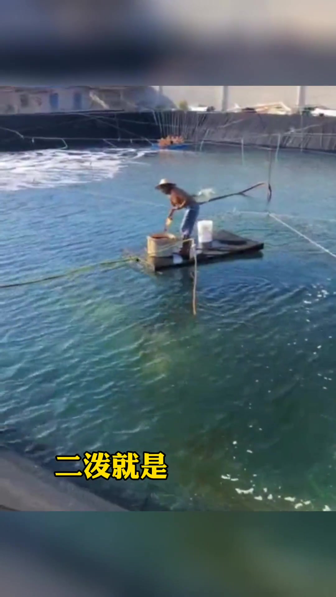 解决80%水生动物,一撒二泼三拌料 水产养殖 鱼虾蟹养殖