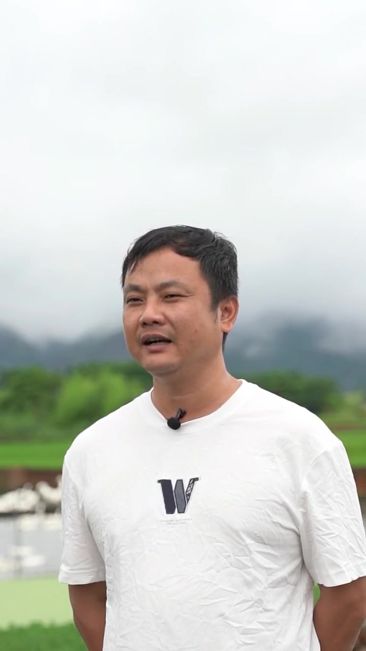 好山好水养好鸭,连城白鸭顶呱呱