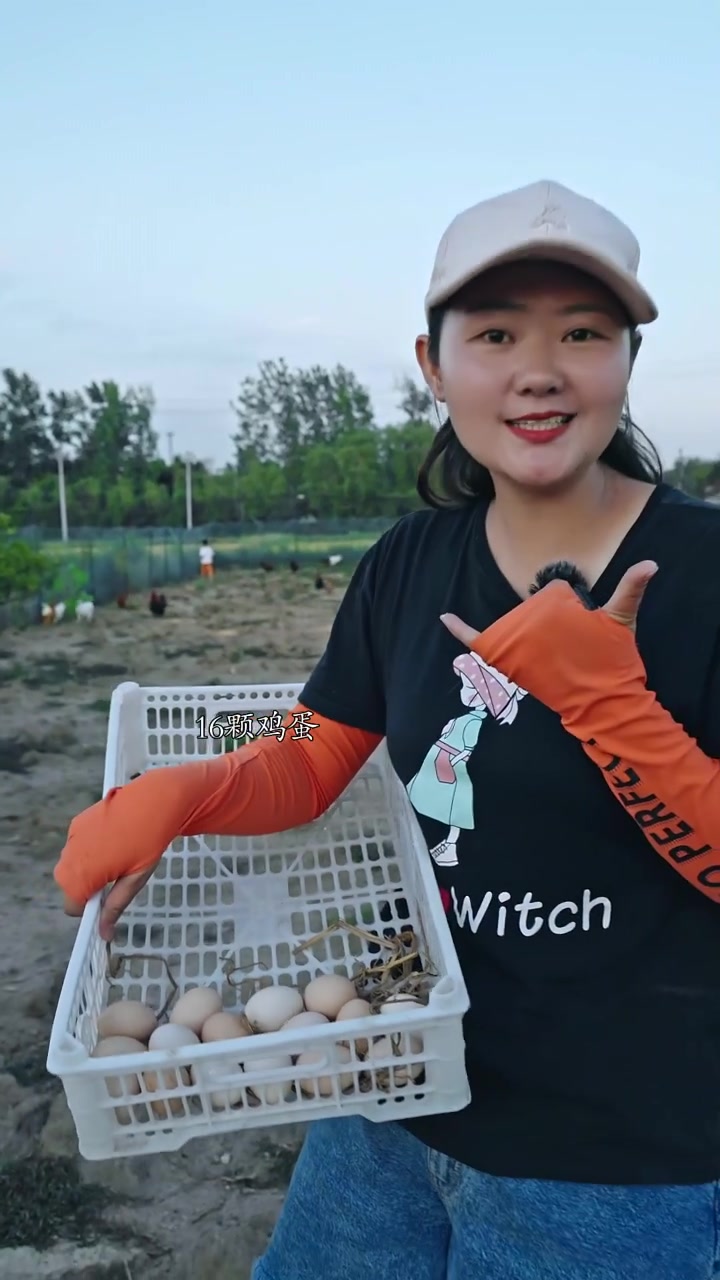 农场土鸡开始下蛋啦,快带上孩子一起来体验捡鸡蛋的乐趣吧