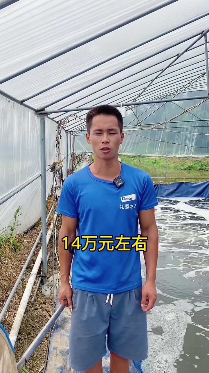 养殖5亩白对虾,一年能挣多少?南美白对虾 水产养殖