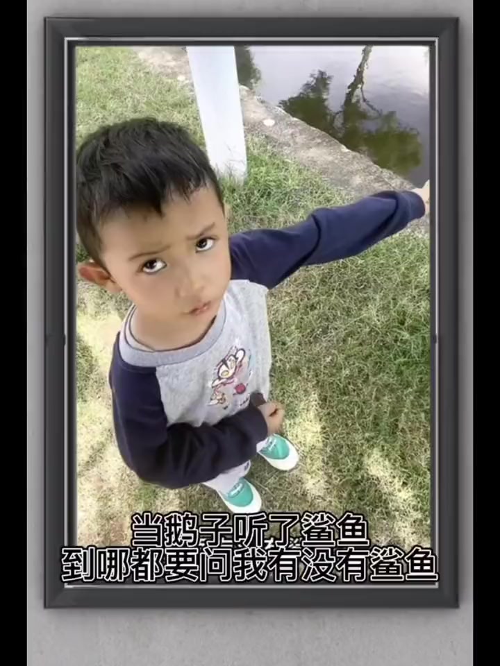 当儿子听了儿歌鲨鱼一家后到哪都要问我有没有鲨鱼!