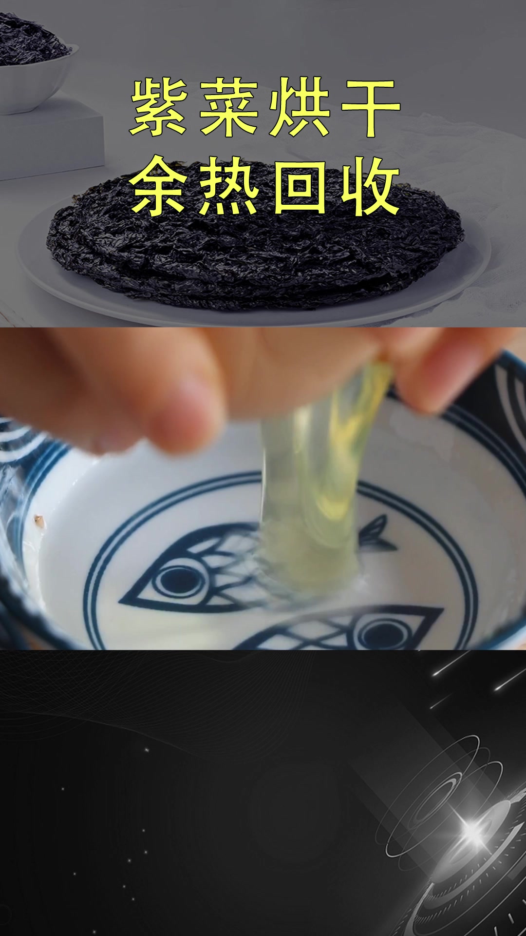 从海里生长的紫菜,该怎么节能烘干呢?#紫菜 #干燥 #换热器