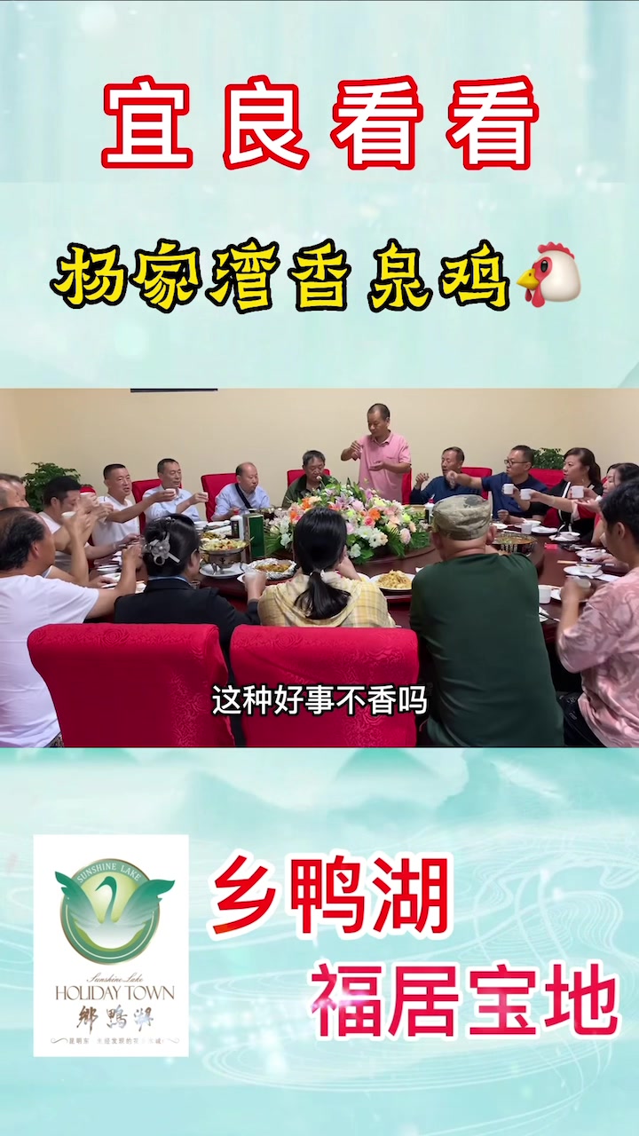 鸡为百菜之首,好鸡必要好水煮方成美味!宜良杨家湾香泉鸡!