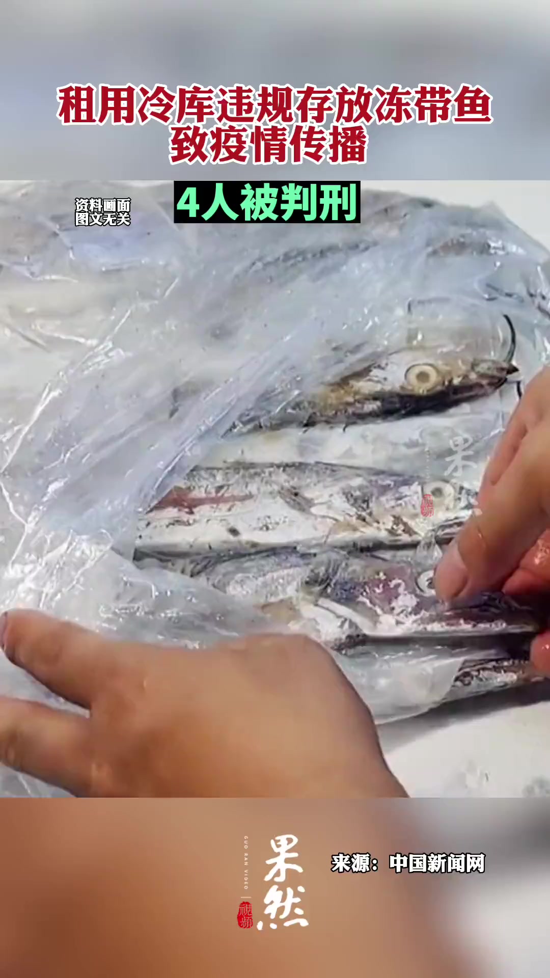 租用冷库违规存放冻带鱼致疫情传播,4人被判刑