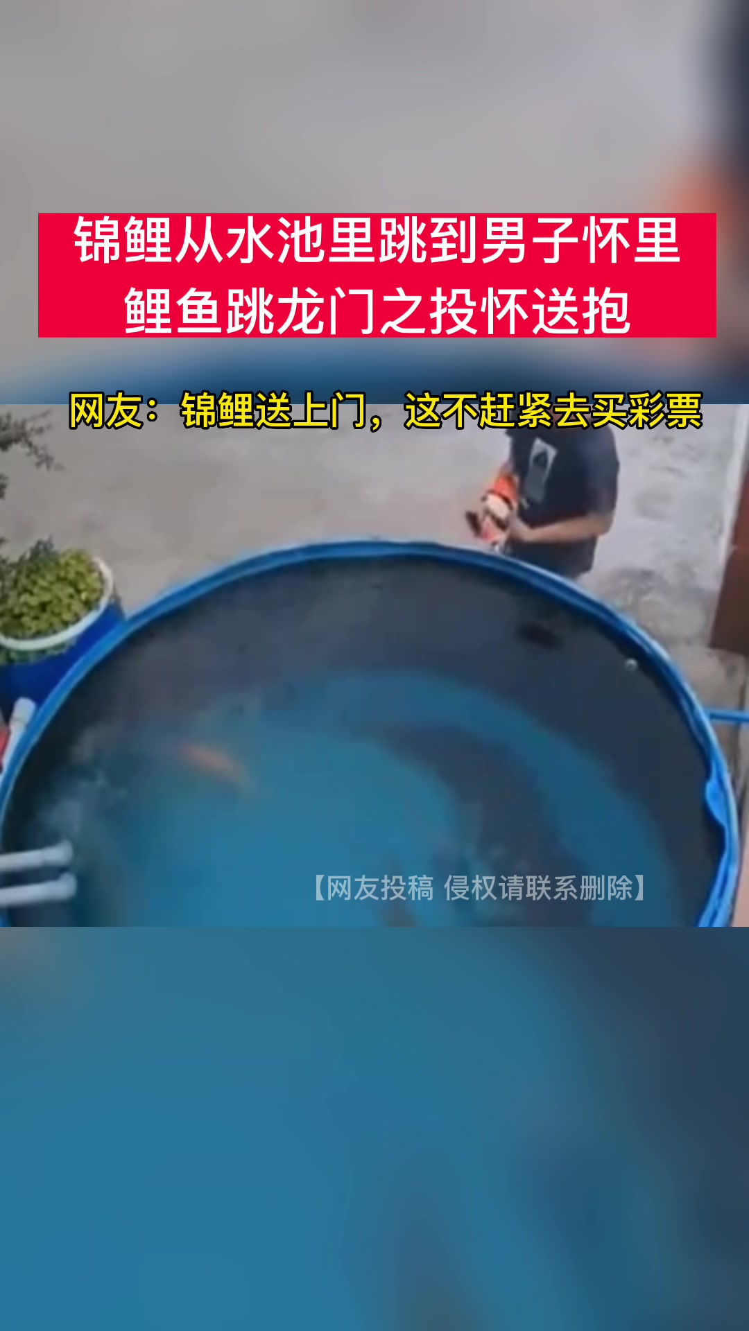 这是要发大财的节奏