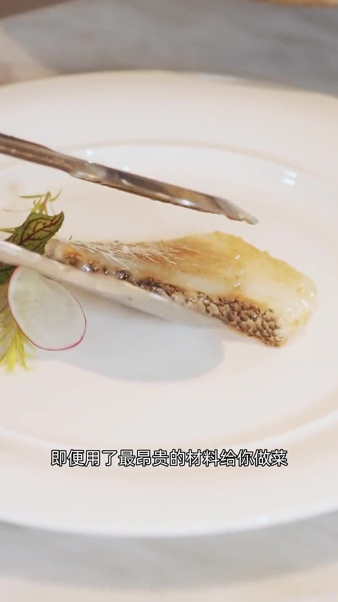 第7集|每吃一个鳕鱼汉堡,商家就亏5块?科普 鳕鱼