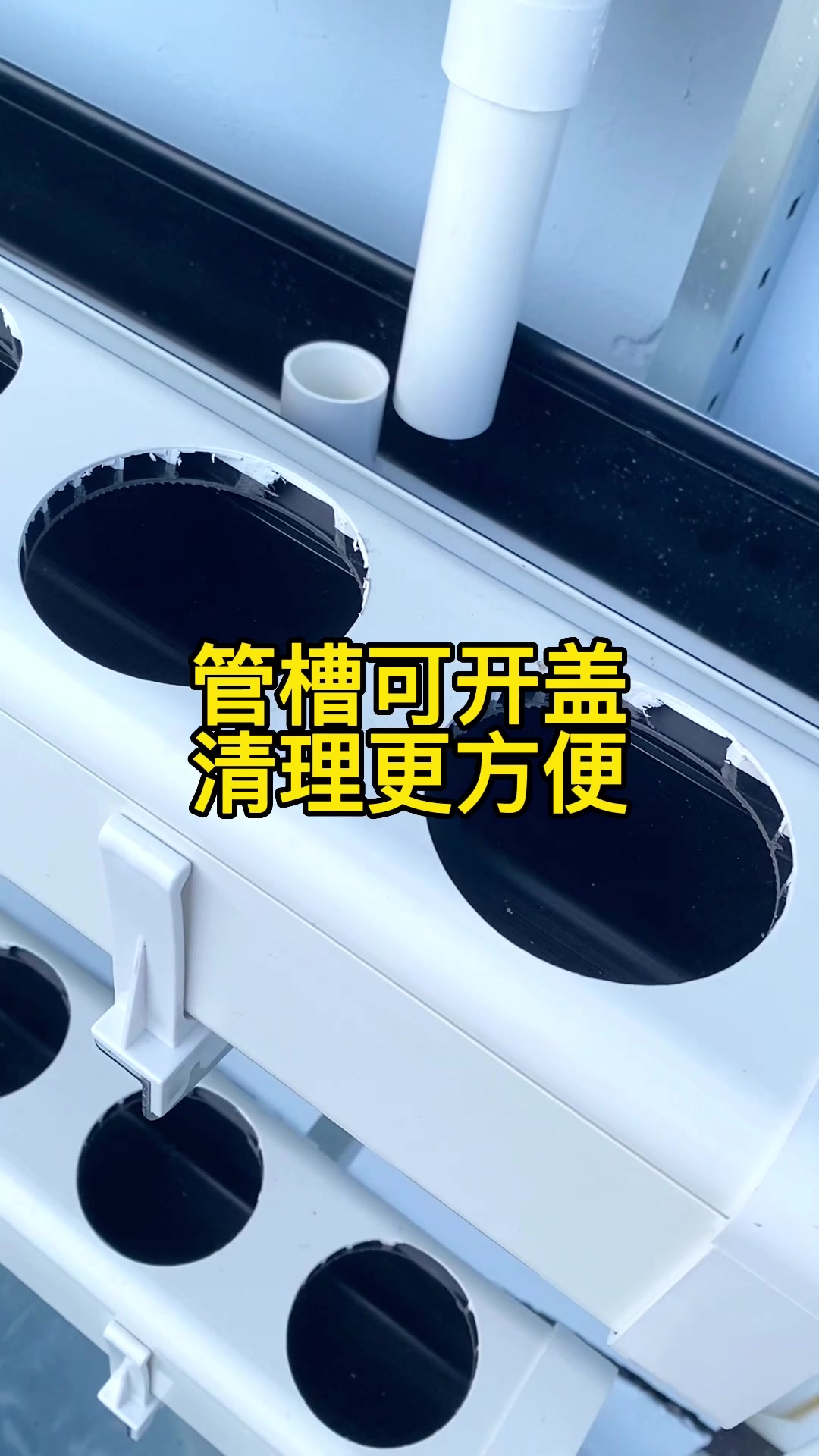 傻瓜式鱼菜共生系统
