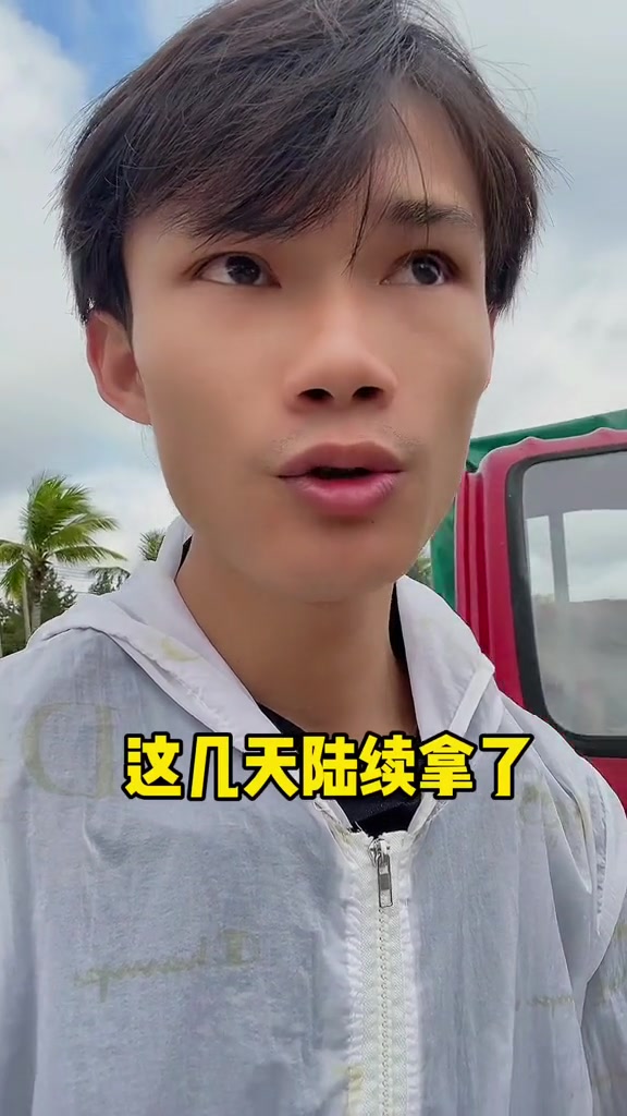 这些鱼产于美丽的西沙群岛西沙群岛观赏鱼